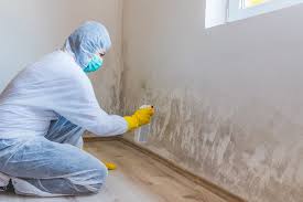 Best Environmental Consulting for Mold Prevention  in Midway, NC