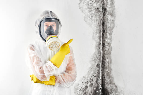 Best Mold Remediation for Healthcare Facilities  in Midway, NC